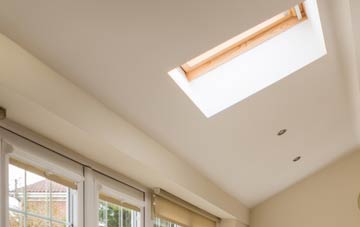 Raginnis conservatory roof insulation companies