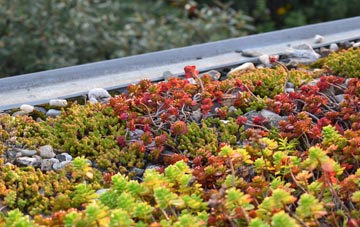 the cost of Raginnis green roof installation