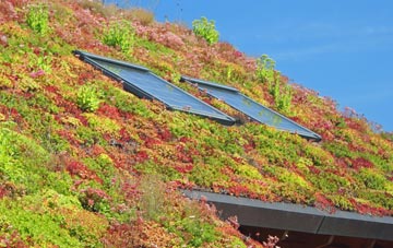 Raginnis living roof systems