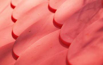 Raginnis plastic roof costs