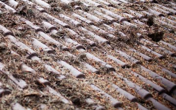 Raginnis roof cleaning companies