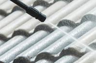 rated Raginnis roof cleaning companies